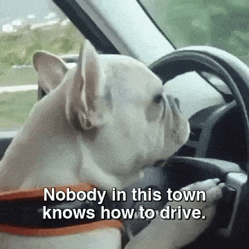 Newly licensed drivers pay the highest average car insurance premiums in Ontario | KBD Insurance
